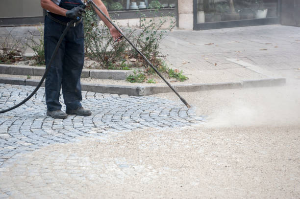 Best Roof Washing  in China Spring, TX